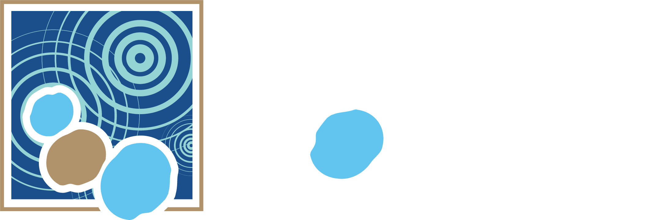 Phelps_Stepping_stone_White